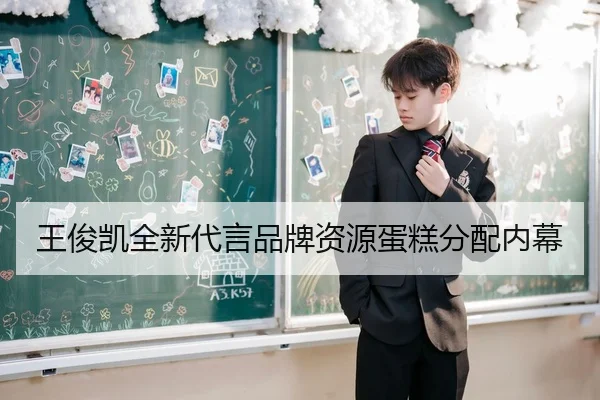 王俊凯全新代言品牌资源蛋糕分配内幕